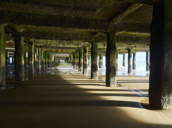 Concrete Pier Repair in Winter Springs